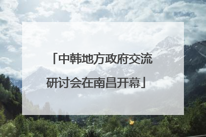 中韩地方政府交流研讨会在南昌开幕