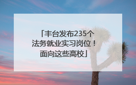 丰台发布235个法务就业实习岗位！面向这些高校