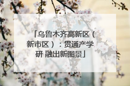 乌鲁木齐高新区（新市区）：贯通产学研 融出新图景
