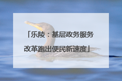 乐陵：基层政务服务改革跑出便民新速度