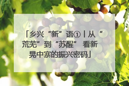 乡兴“新”语①丨从“荒芜”到“苏醒” 看新晃中寨的振兴密码