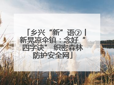 乡兴“新”语②丨新晃凉伞镇：念好“四字诀” 织密森林防护安全网
