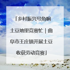 乡村振兴号角响 土豆地里竞赛忙｜曲阜市王庄镇开展土豆收获劳动竞赛