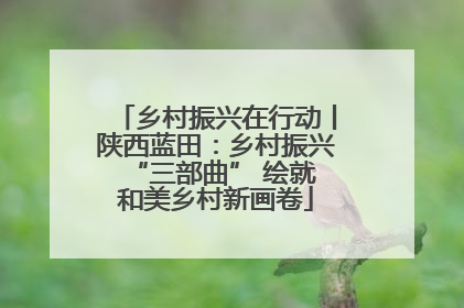 乡村振兴在行动丨陕西蓝田：乡村振兴 “三部曲” 绘就和美乡村新画卷
