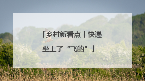 乡村新看点丨快递坐上了“飞的”