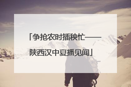 争抢农时插秧忙——陕西汉中夏播见闻