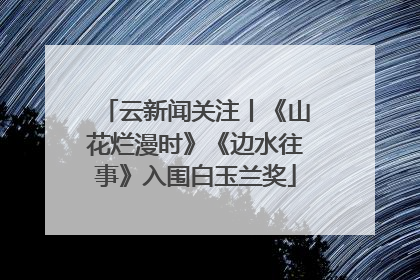 云新闻关注丨《山花烂漫时》《边水往事》入围白玉兰奖