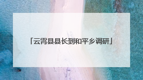 云霄县县长到和平乡调研