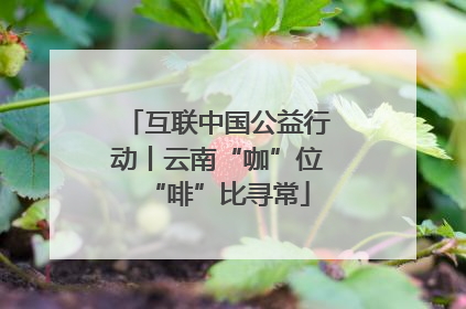 互联中国公益行动丨云南“咖”位“啡”比寻常
