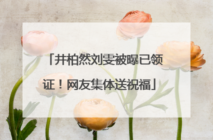 井柏然刘雯被曝已领证！网友集体送祝福