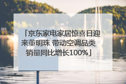 京东家电家居惊喜日迎来董明珠 带动空调品类销量同比增长100%