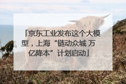 京东工业发布这个大模型，上海“链动众城 万亿降本”计划启动