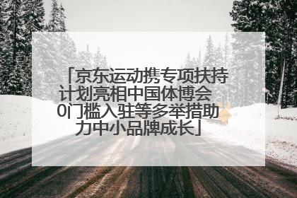 京东运动携专项扶持计划亮相中国体博会 0门槛入驻等多举措助力中小品牌成长