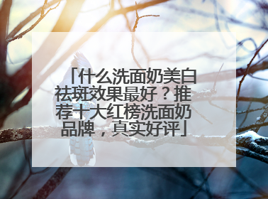 什么洗面奶美白祛斑效果最好？推荐十大红榜洗面奶品牌，真实好评