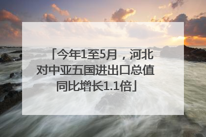 今年1至5月，河北对中亚五国进出口总值同比增长1.1倍