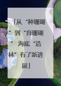 从“种珊瑚”到“育珊瑚” 海底“造林”有了新进展