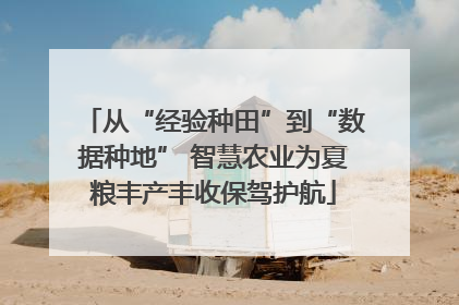 从“经验种田”到“数据种地” 智慧农业为夏粮丰产丰收保驾护航
