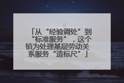 从“经验调处”到“标准服务”，这个镇为处理基层劳动关系服务“造标尺”