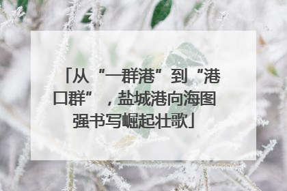 从“一群港”到“港口群”，盐城港向海图强书写崛起壮歌