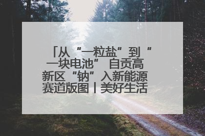 从“一粒盐”到“一块电池” 自贡高新区“钠”入新能源赛道版图丨美好生活有“盐”味