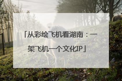 从彩绘飞机看湖南：一架飞机一个文化IP