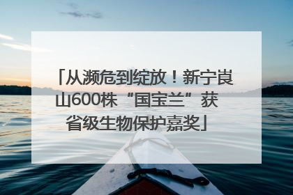 从濒危到绽放！新宁崀山600株“国宝兰”获省级生物保护嘉奖