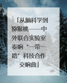 从脑科学到猕猴桃——中外联合实验室奏响“一带一路”科技合作交响曲