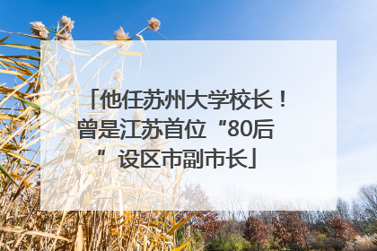 他任苏州大学校长！曾是江苏首位“80后”设区市副市长