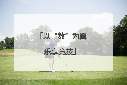 以“数”为翼 乐享竞技