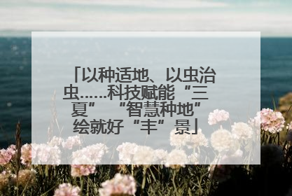 以种适地、以虫治虫……科技赋能“三夏” “智慧种地”绘就好“丰”景