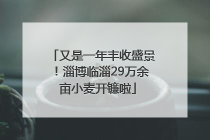 又是一年丰收盛景！淄博临淄29万余亩小麦开镰啦