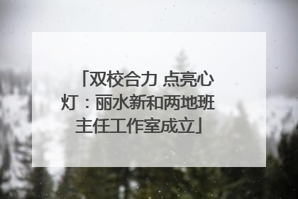 双校合力 点亮心灯：丽水新和两地班主任工作室成立