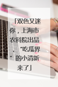 双色又迷你，上海市农科院出品，“吃瓜界”的小清新来了