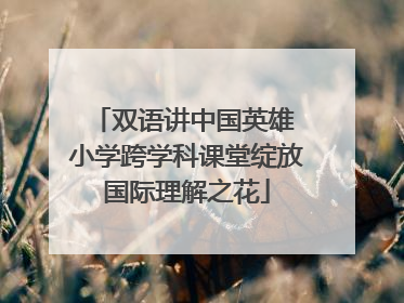 双语讲中国英雄 小学跨学科课堂绽放国际理解之花