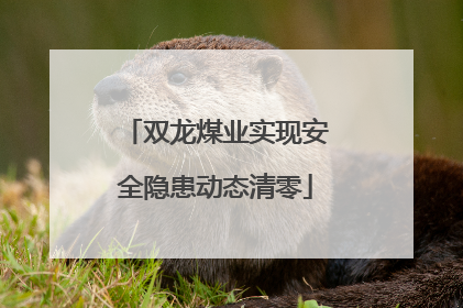 双龙煤业实现安全隐患动态清零