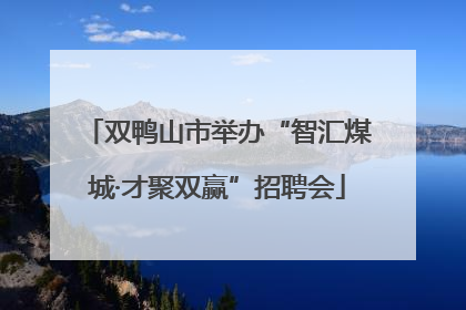 双鸭山市举办“智汇煤城·才聚双赢”招聘会