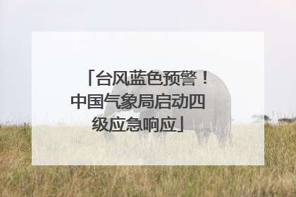 台风蓝色预警！中国气象局启动四级应急响应