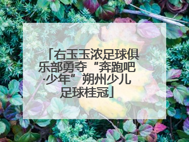 右玉玉浓足球俱乐部勇夺“奔跑吧·少年”朔州少儿足球桂冠