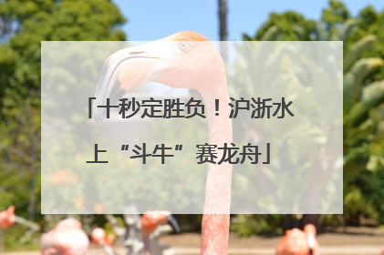 十秒定胜负！沪浙水上“斗牛”赛龙舟