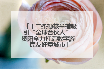 十二条硬核举措吸引“全球合伙人” 资阳全力打造数字游民友好型城市