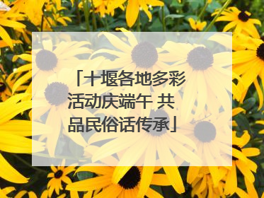 十堰各地多彩活动庆端午 共品民俗话传承