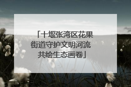 十堰张湾区花果街道守护文明河流 共绘生态画卷