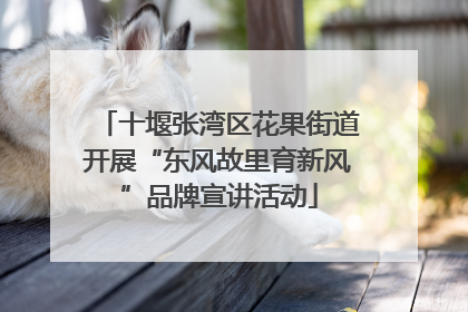 十堰张湾区花果街道开展“东风故里育新风”品牌宣讲活动