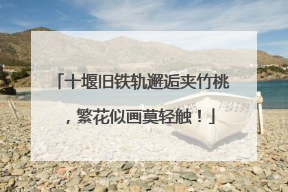 十堰旧铁轨邂逅夹竹桃，繁花似画莫轻触！