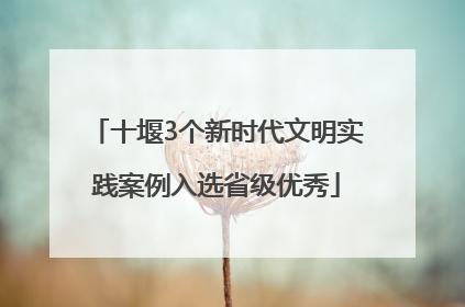 十堰3个新时代文明实践案例入选省级优秀
