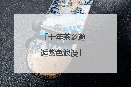 千年茶乡邂逅紫色浪漫