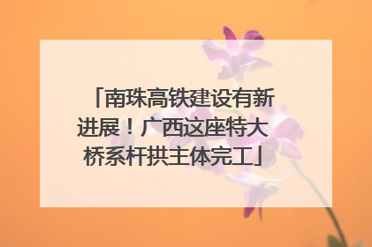 南珠高铁建设有新进展！广西这座特大桥系杆拱主体完工