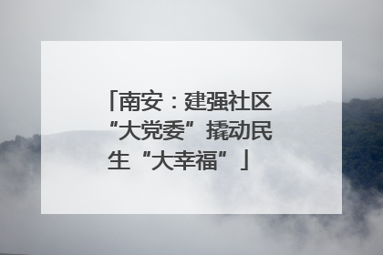 南安：建强社区“大党委”撬动民生“大幸福”