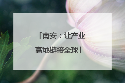 南安：让产业高地链接全球