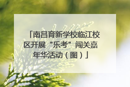 南昌育新学校临江校区开展“乐考”闯关嘉年华活动（图）